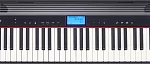 Портативное цифровое пианино ROLAND GO:PIANO 10