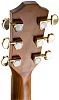 Акустическая гитара BATON ROUGE TLA/D 7