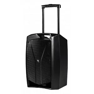 Активная акустическая система PROEL V12FREE 4