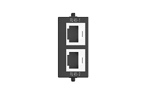 Модуль-переходник Wize Pro WRTS-M-2RJ45 4