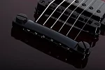 Электрогитара SCHECTER SOLO-II STANDARD BLOODBURST BB 10