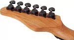 Электрогитара SCHECTER PT STANDARD BLACK FADE BURST BURL BFBB 13