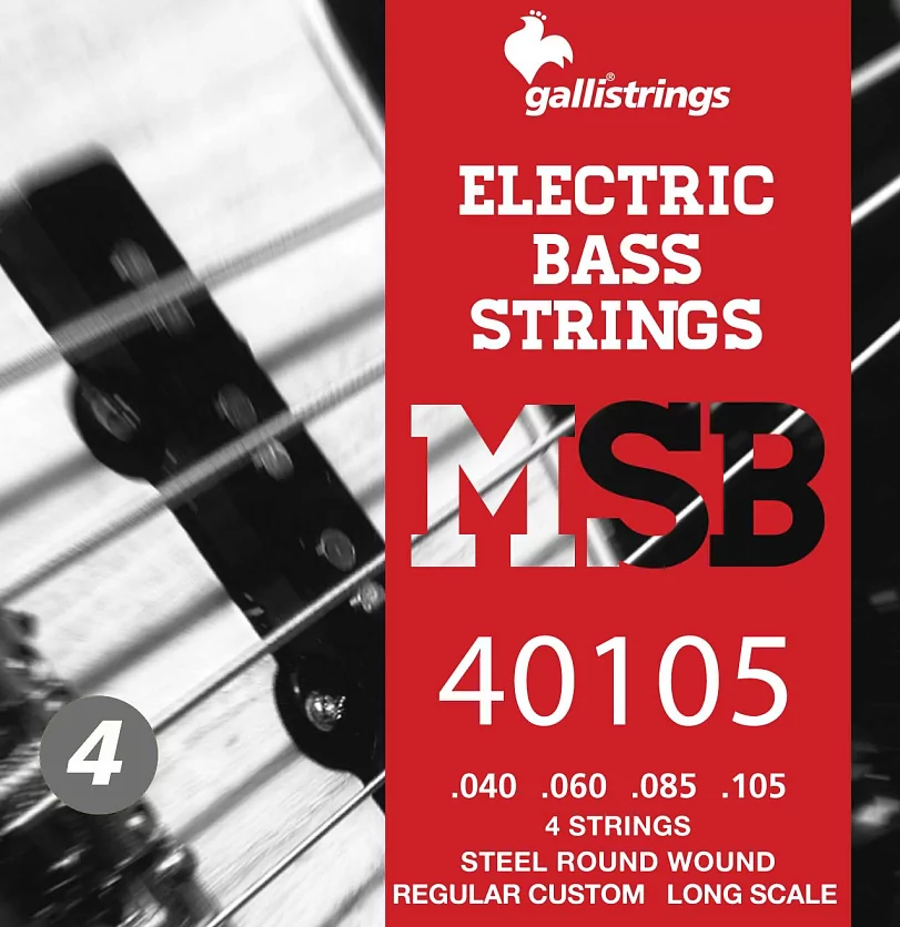 Комплект струн GALLI STRINGS MSB40105