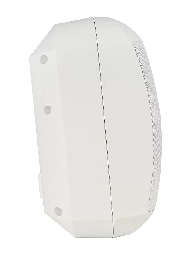 Акустическая система Intrend ITSPK-MSK4-W 8