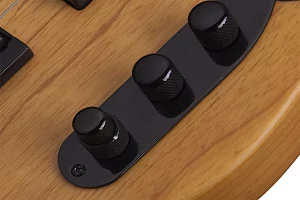 Бас-гитара SCHECTER MODEL-T SESSION ANS 6