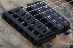 Электрогитара SCHECTER REAPER-6 CB 6