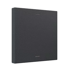 Сценарный выключатель, Amsterdam 02, 1-кл, dc, Графит iRidi Ddc-02-0104