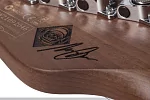 Электрогитара SCHECTER NICK JOHNSTON PT A. INK 9