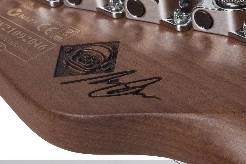 Электрогитара SCHECTER NICK JOHNSTON PT A. INK 9