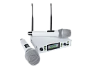 Микрофонная радиосистема Axelvox DX800SW
