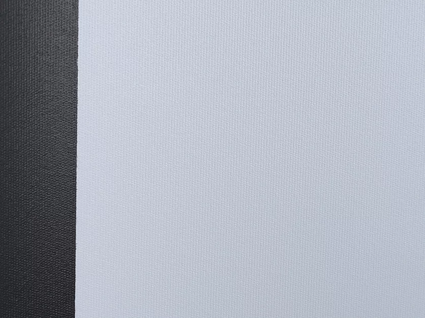 [LMV-100103] Экран на штативе Lumien Master View 20