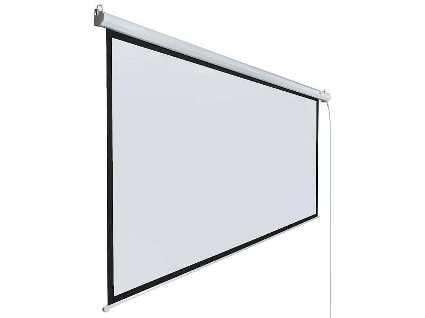 [LEC-100110] Экран с электроприводом Lumien Eco Control 2