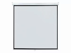 [LEP-100109] Настенный экран Lumien Eco Picture