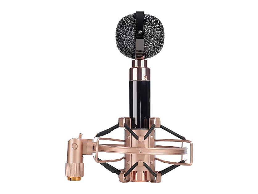 Профессиональный студийный конденсаторный микрофон Icon Aurora 14