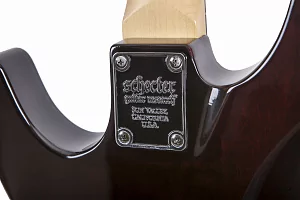 Электрогитара SCHECTER DEMON-6 FR CRB 3