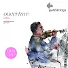 Комплект струн GALLI STRINGS OV41