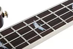Бас-гитара SCHECTER OMEN EXTREME-4 GNAT 15