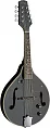 Электроакустическая мандолина STAGG M50 E BLK