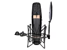 Профессиональный студийный ламповый микрофон Icon Space 67 14