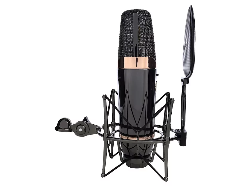 Профессиональный студийный ламповый микрофон Icon Space 67 14
