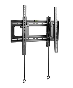 Универсальное наклонное настенное крепление Wize Pro T46X 3