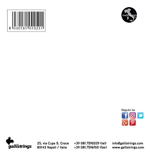 Комплект струн GALLI STRINGS FG017 2
