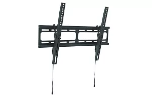 Универсальное наклонное настенное крепление Wize WT55