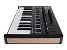 MIDI клавиатура Arturia MiniLAB 3 Black Edition 7