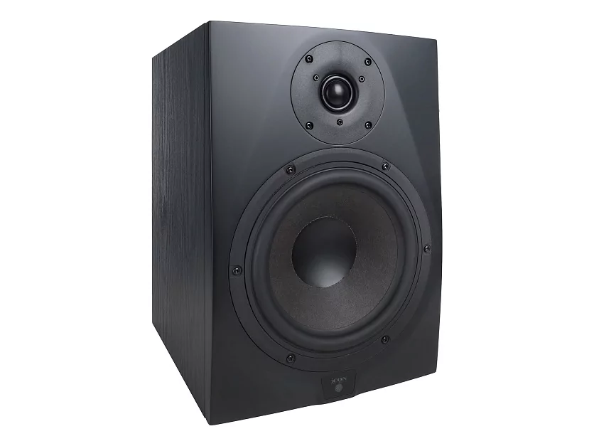Акустическая система (студийный монитор) Icon DT-8S 2