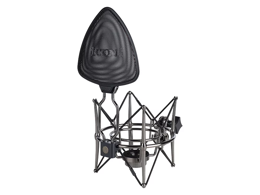 Профессиональный студийный ламповый микрофон Icon Space 251 25