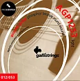 Комплект струн GALLI STRINGS AGP1253