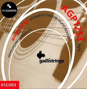 Комплект струн GALLI STRINGS AGP1253
