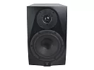 Акустическая система (студийный монитор) Icon DT-6S 10