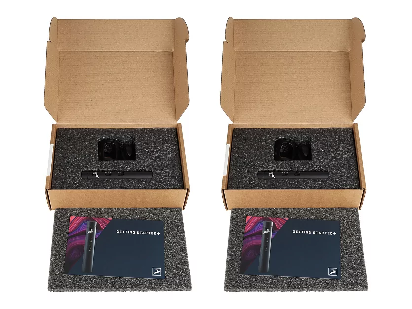 Пара микрофонов Antelope Audio Edge Note Bundle 19