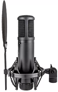 Микрофон конденсаторный sE Electronics SE 2200 5