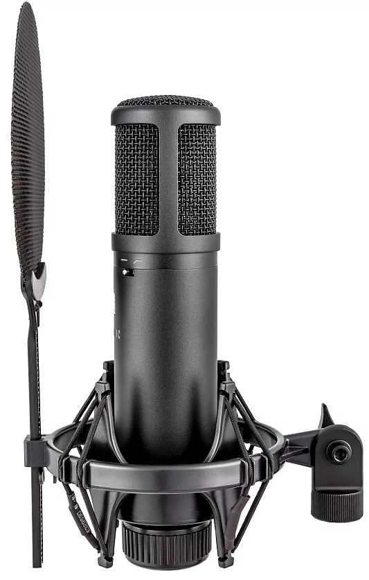 Микрофон конденсаторный sE Electronics SE 2200 5