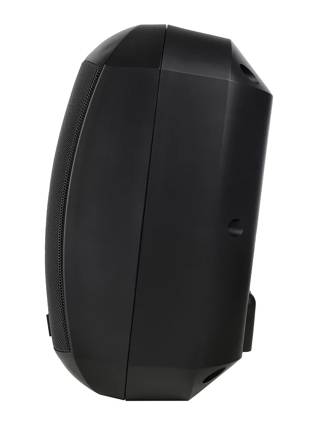 Акустическая система Intrend ITSPK-MSK4-B 6