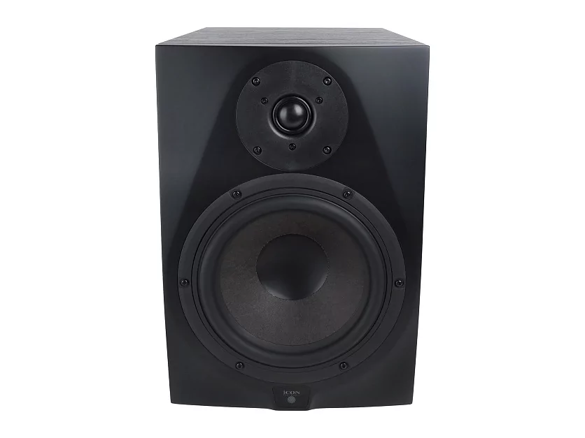 Акустическая система (студийный монитор) Icon DT-8S 11