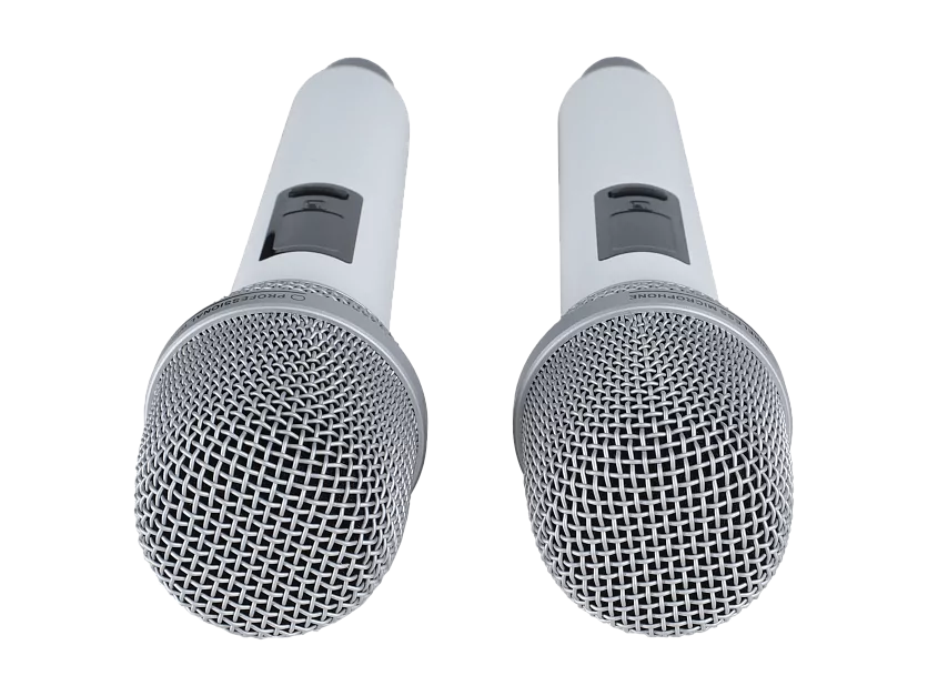 Микрофонная радиосистема Axelvox DX800SW 10