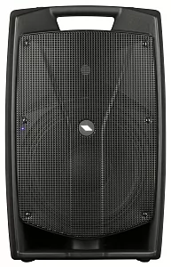 Активная акустическая система PROEL V12PRO 2