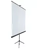 Уценка [LEV-100102] Экран на штативе Lumien Eco View