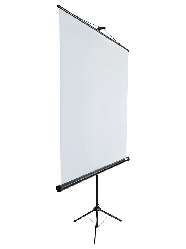 Уценка [LEV-100102] Экран на штативе Lumien Eco View