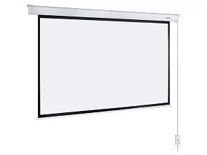 [LEC-100117] Экран с электроприводом Lumien Eco Control 2