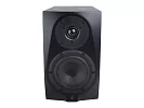 Акустическая система (студийный монитор) Icon DT-5S 9
