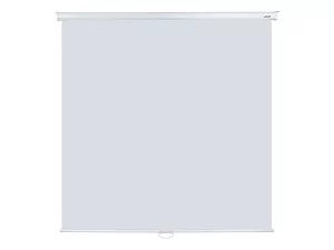 [LEP-100105] Настенный экран Lumien Eco Picture