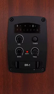 Электроакустическая гитара BATON ROUGE L1LS/DCE 4