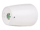 Акустическая система Intrend ITSPK-550PT-W 15