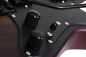 Электрогитара SCHECTER SUN VALLEY SUPER SHREDDER EXOTIC ZIRICOTE ZIR 3