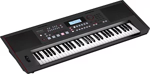 Синтезатор ROLAND E-X50 4