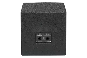 Акустическая система DS Proaudio CX 108 4
